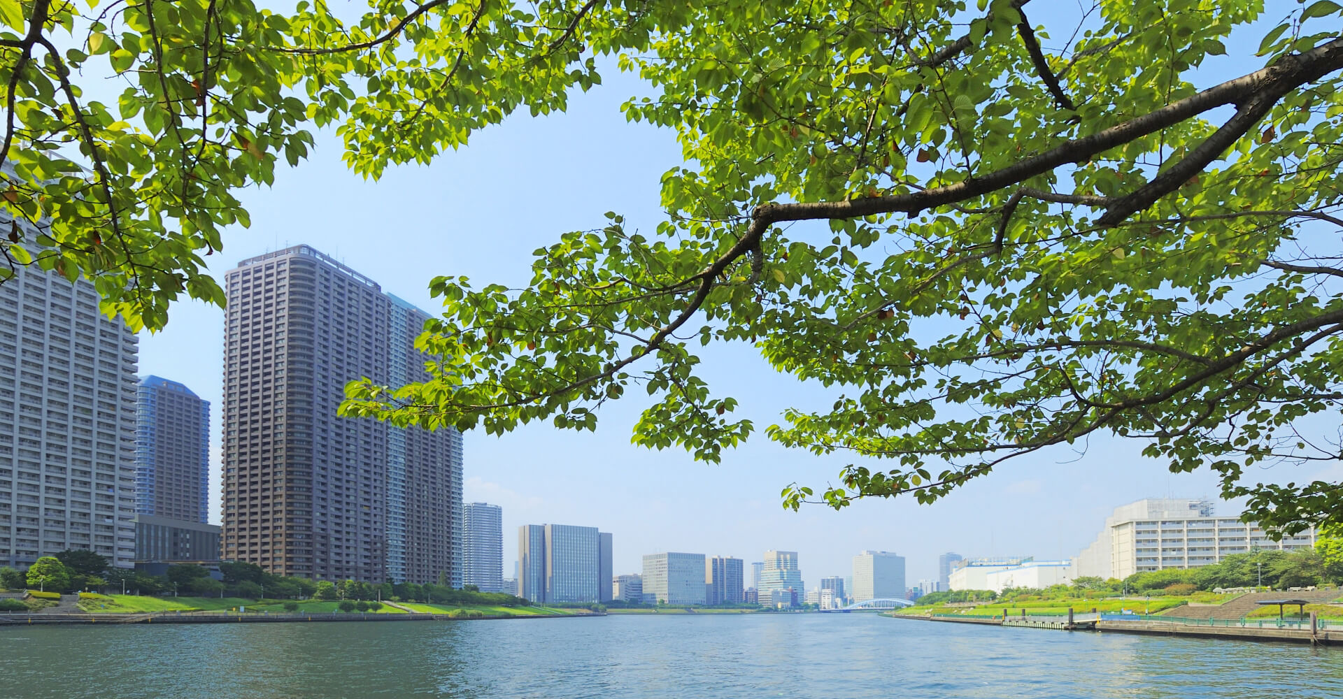 東京都江東区・墨田区・江戸川区・葛飾区・足立区・荒川区・千代田区・新宿区のホームページ制作